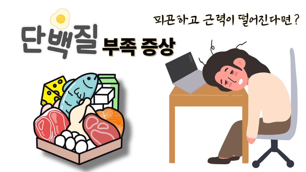 단백질 부족 증상