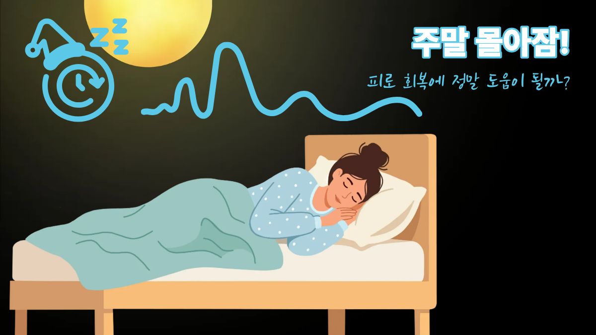 주말 몰아잠