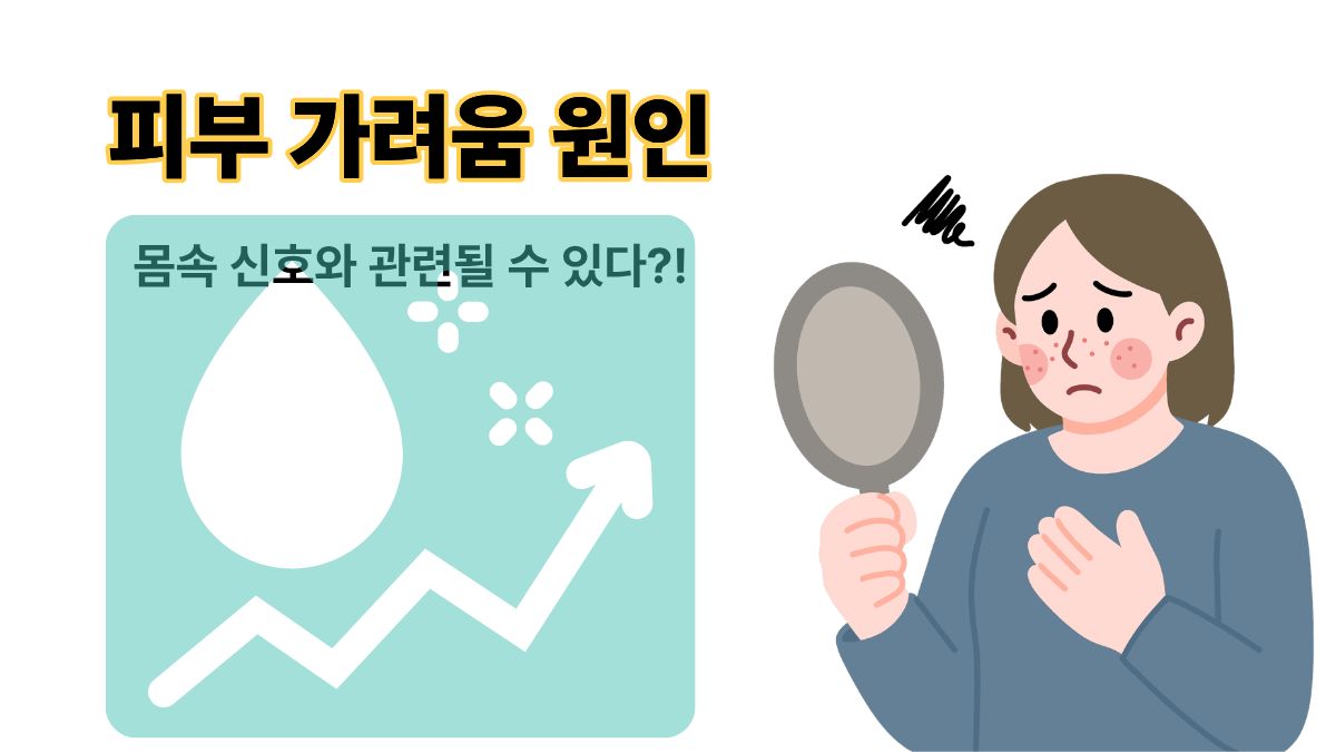 피부 가려움 원인